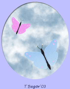 butterflybrush.jpg