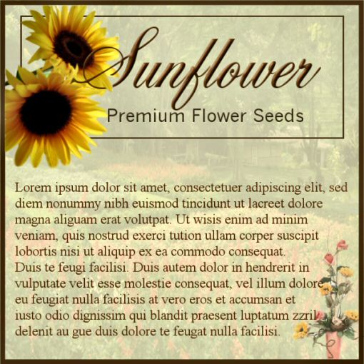 sunflowerseedad.jpg
